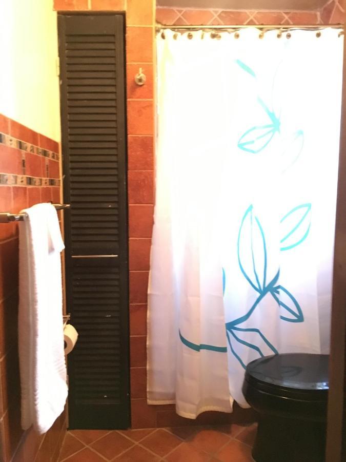 Private Room In The Heart Of Little Havana Miami Eksteriør billede